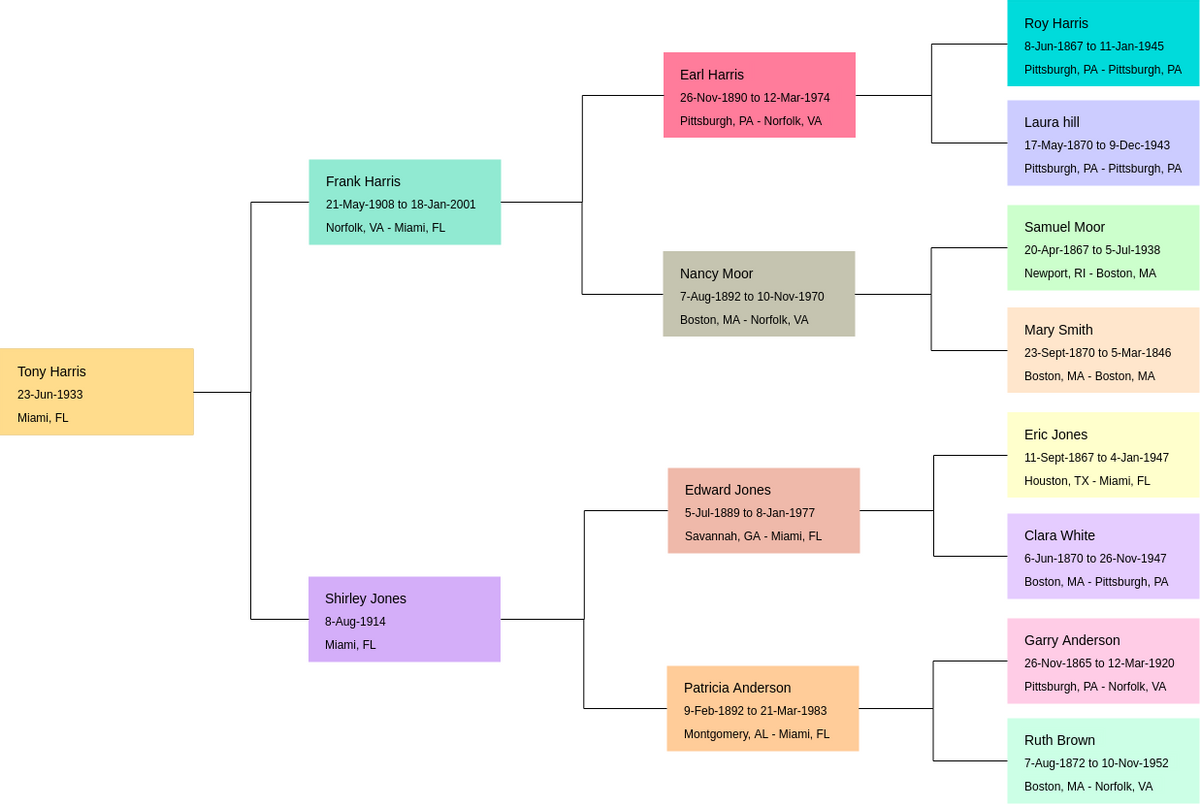 Horizontal Family Tree Sample (ファミリーツリー Example)