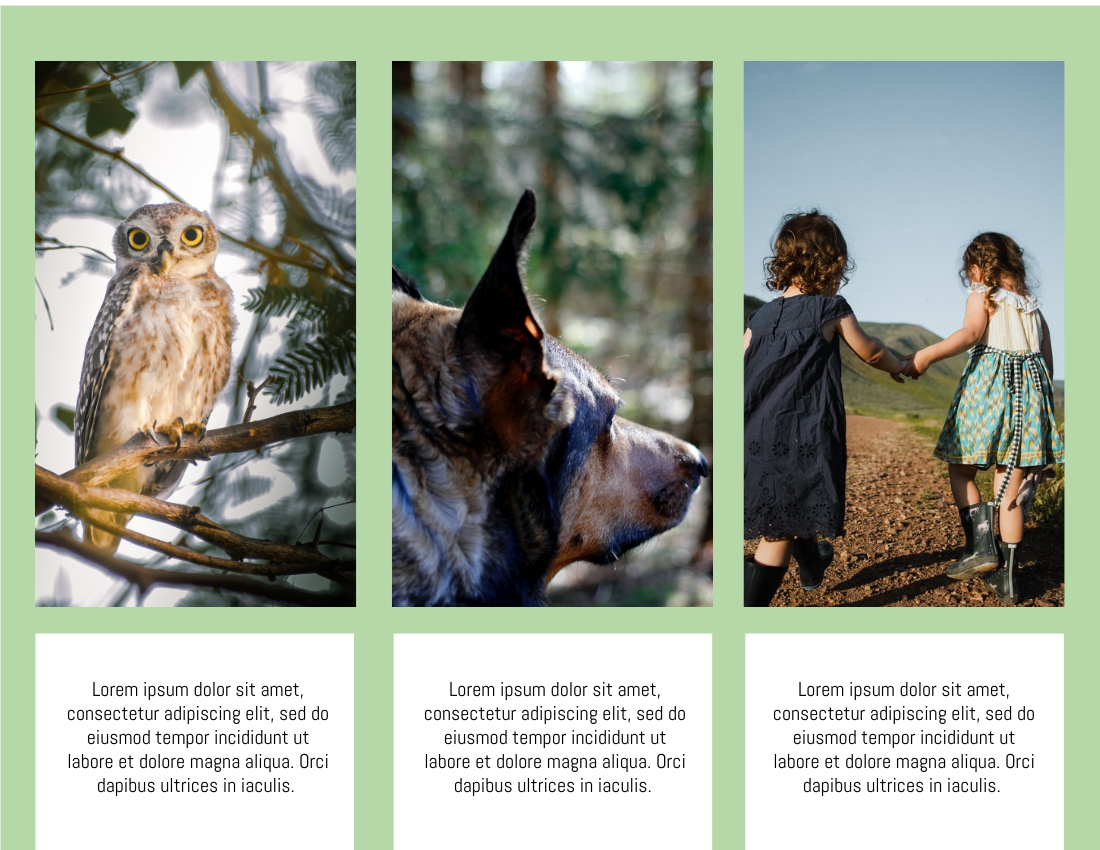年度回顧照相簿 模板。 Nature Life Year in Review Photo Book (由 Visual Paradigm Online 的年度回顧照相簿軟件製作)