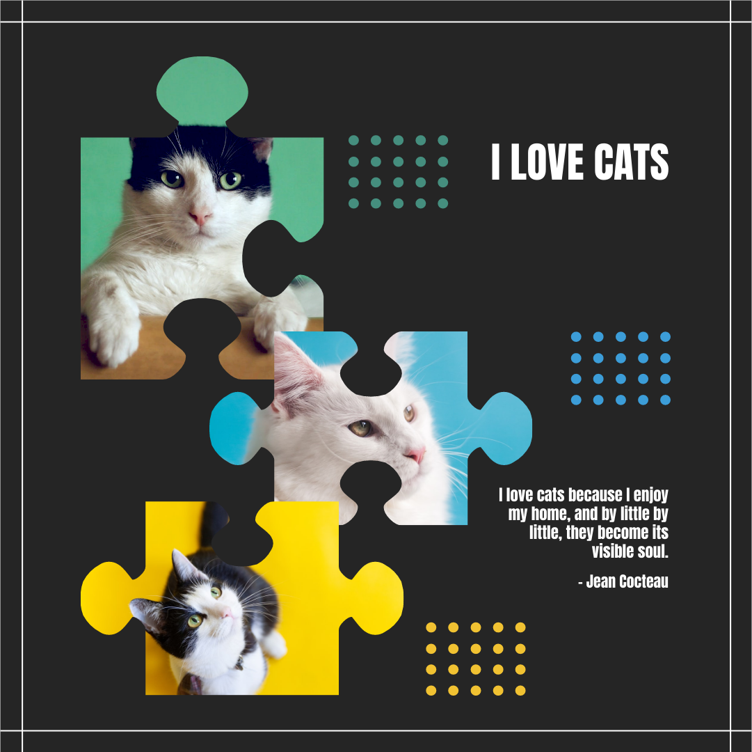Instagram 帖子 模板。I Love Cats Instagram Post (由 Visual Paradigm Online 的Instagram 帖子软件制作)