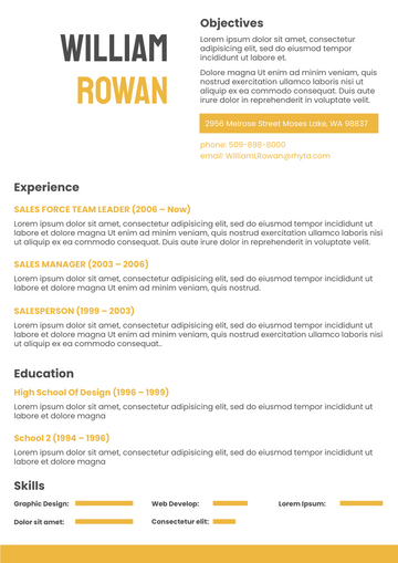 Resume template: Orange Resume 2 (Created by Visual Paradigm Online's Resume maker)