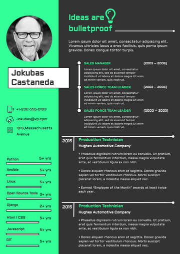Resume template: Cyber Resume (Created by Visual Paradigm Online's Resume maker)