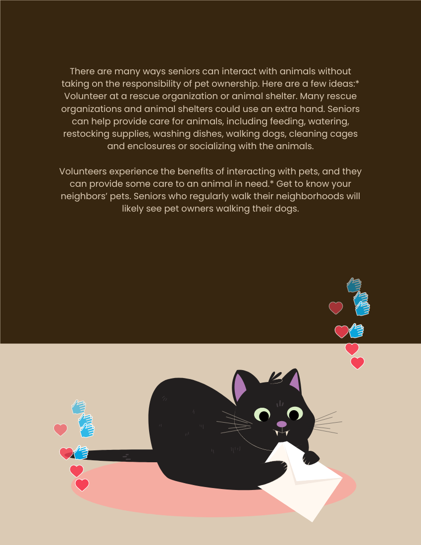 Booklet template: The Pet Boost (Created by Visual Paradigm Online's Booklet maker)