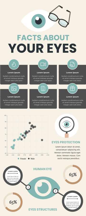 Infographic template: Facts About Your Eyes Infographic (Created by Visual Paradigm Online's Infographic maker)