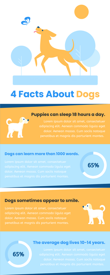 Editable infographics template:4 Facts About Dogs Infographic