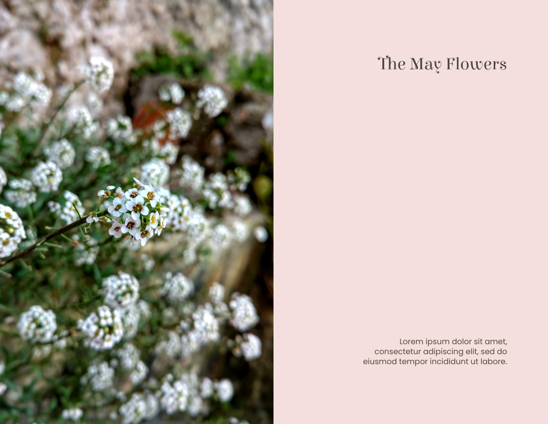 季節性照相簿 模板。 Spring Day Seasonal Photo Book (由 Visual Paradigm Online 的季節性照相簿軟件製作)