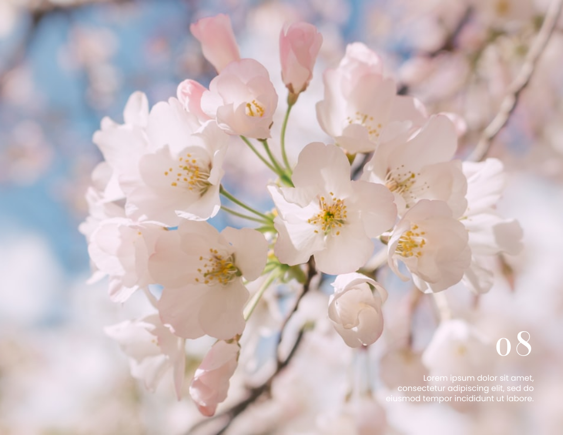 Spring Day Seasonal Photo Book