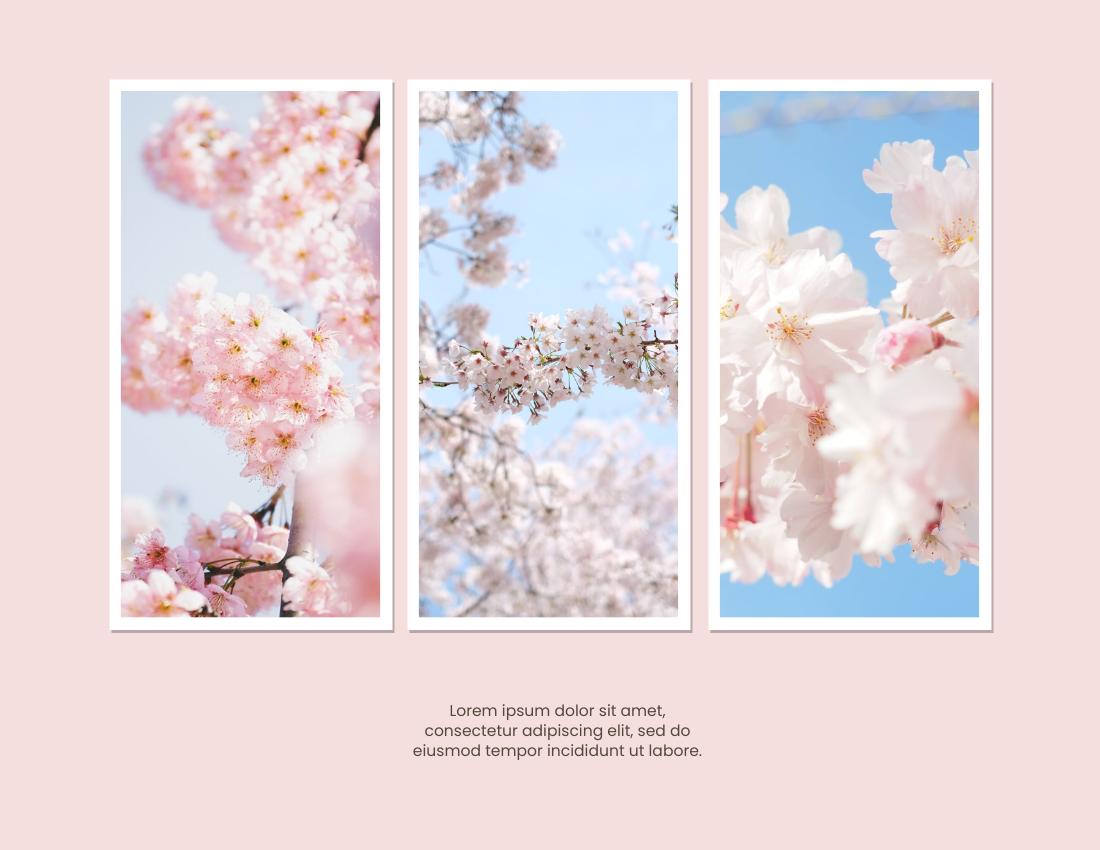 季节性照相簿 模板。Spring Day Seasonal Photo Book (由 Visual Paradigm Online 的季节性照相簿软件制作)