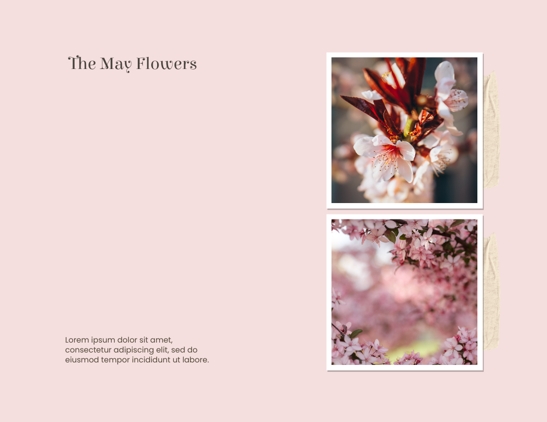 季節性照相簿 模板。 Spring Day Seasonal Photo Book (由 Visual Paradigm Online 的季節性照相簿軟件製作)
