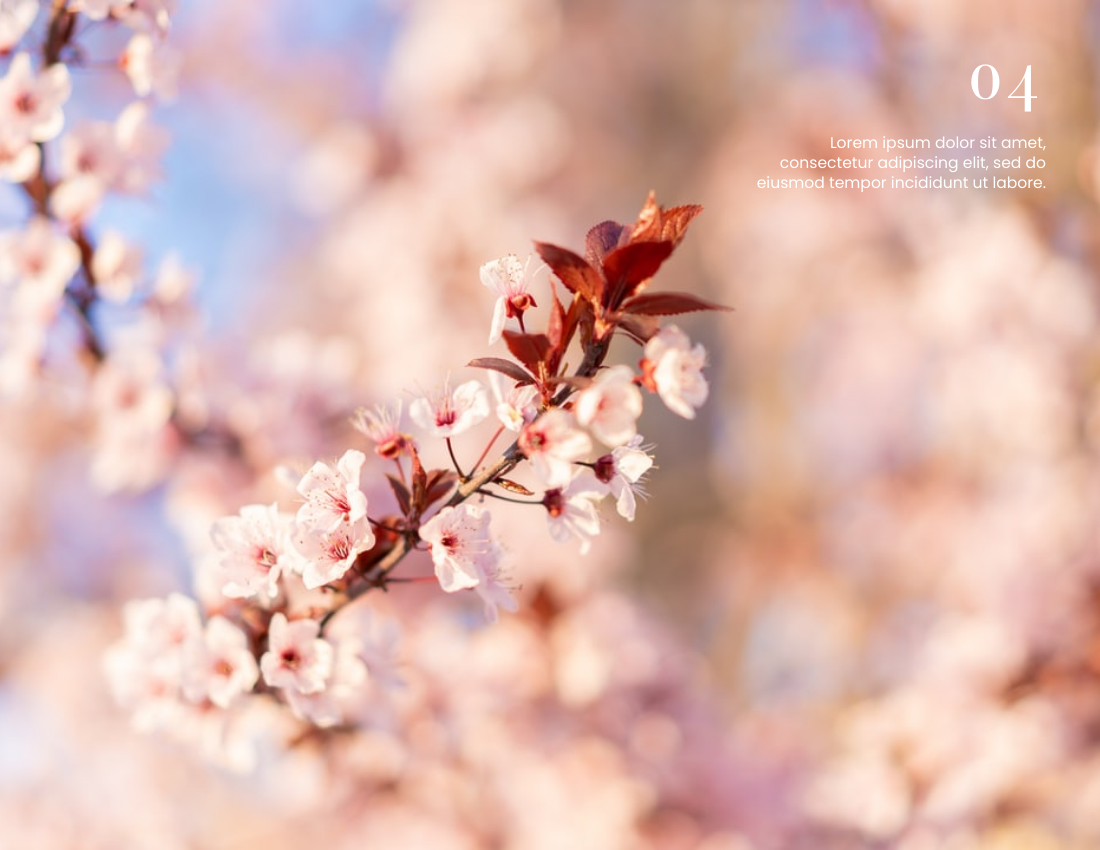 Spring Day Seasonal Photo Book