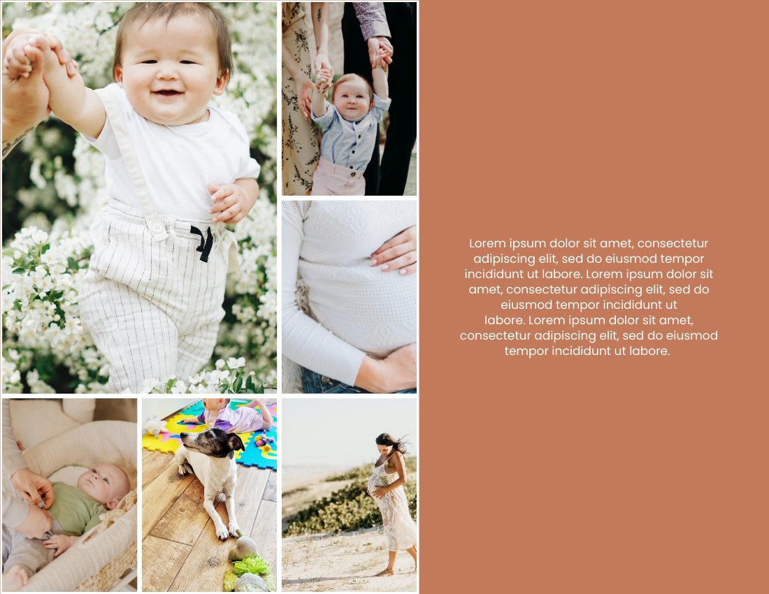 嬰兒照相簿 模板。 New Baby Girl Photo Book (由 Visual Paradigm Online 的嬰兒照相簿軟件製作)