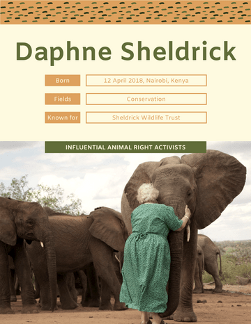 Biography template: Daphne Sheldrick Biography (Created by Visual Paradigm Online's Biography maker)