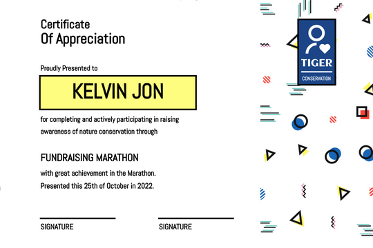 Mosaic Fundraising Marathon Certificate