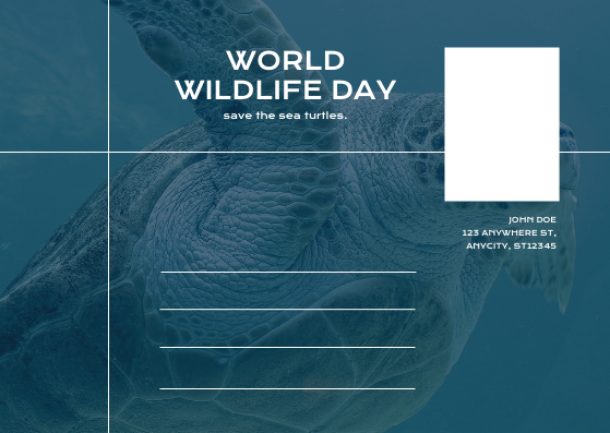 Postcard template: Blue Sea Turtle Photo World Wildlife Day Post Card (Created by Visual Paradigm Online's Postcard maker)