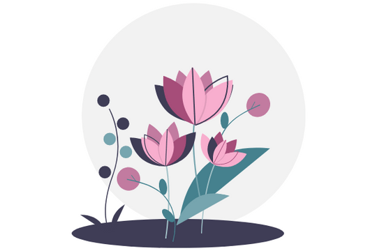 Lotus Illustration