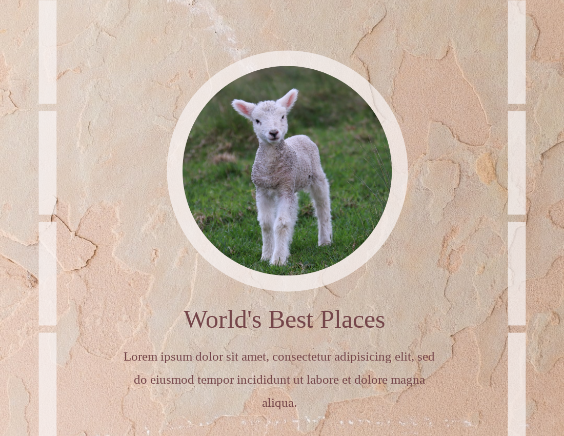 旅行照相簿 模板。Explore The World Travel Photo Book (由 Visual Paradigm Online 的旅行照相簿软件制作)