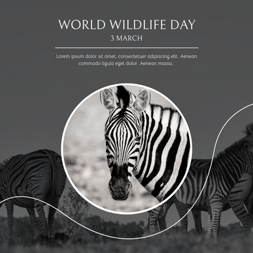 Instagram Post template: Black And White Zebra World Wildlife Day Instagram Post (Created by Visual Paradigm Online's Instagram Post maker)