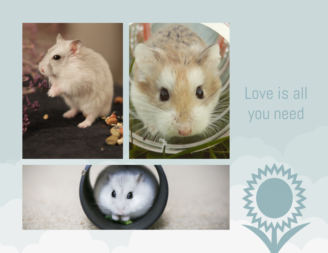 寵物照相簿 模板。 My Little Hamster Pet Photo Book (由 Visual Paradigm Online 的寵物照相簿軟件製作)