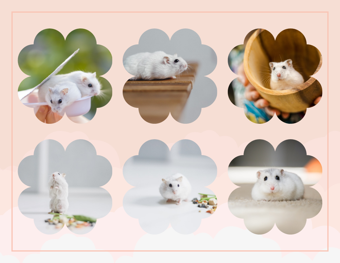 宠物照相簿 模板。My Little Hamster Pet Photo Book (由 Visual Paradigm Online 的宠物照相簿软件制作)