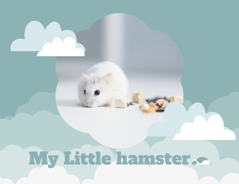 Pet Photo books template: My Little Hamster Pet Photo Book (Created by InfoART's Pet Photo books marker)