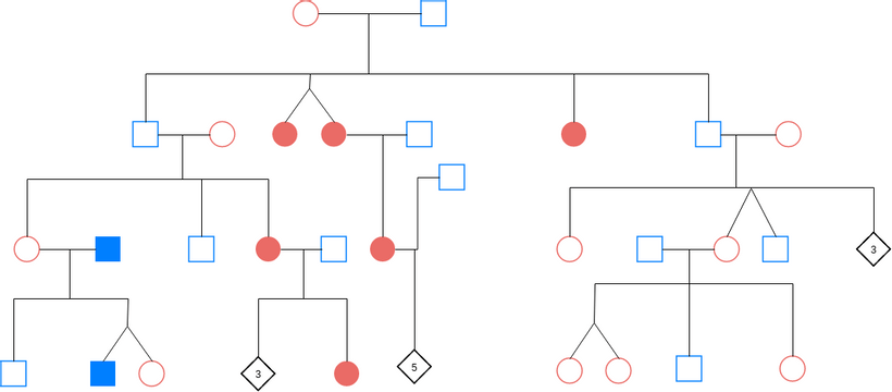 Pedigree Chart template: Pedigree Chart Example 1 (Created by Visual Paradigm Online's Pedigree Chart maker)