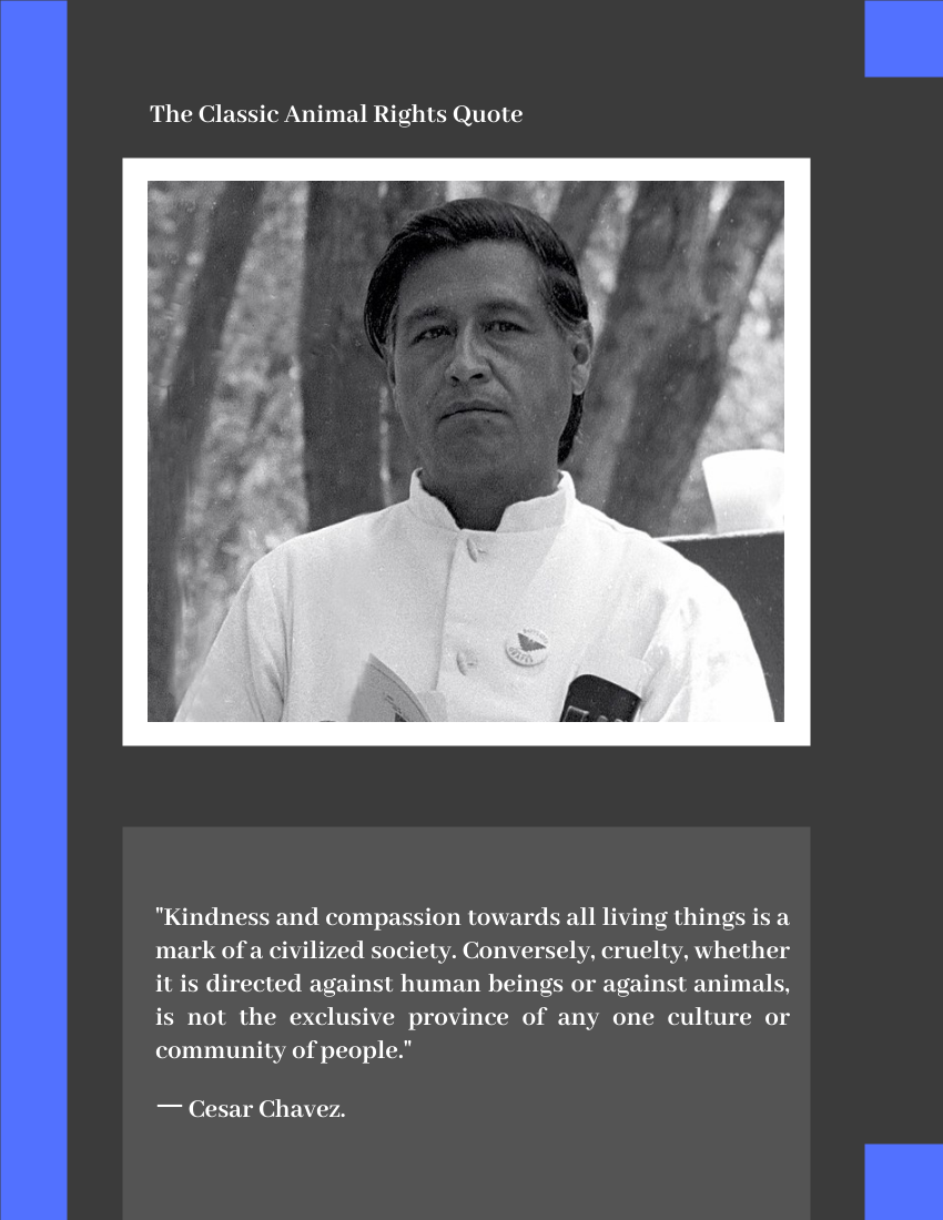 Quote 模板。 Kindness and compassion towards all living things is a mark of a civilized society. ― Cesar Chavez (由 Visual Paradigm Online 的Quote軟件製作)