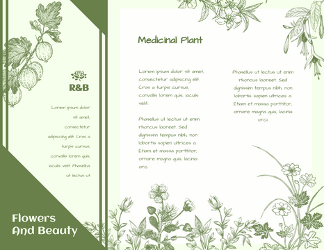 Editable brochures template:Medicinal Plant Brochure