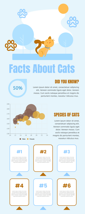 Infographic template: Facts About Cats Infographic (Created by Visual Paradigm Online's Infographic maker)