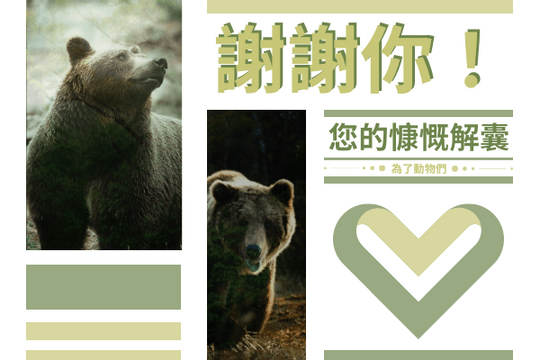 Editable greetingcards template:慷慨解囊感謝卡(動植物保育主題)