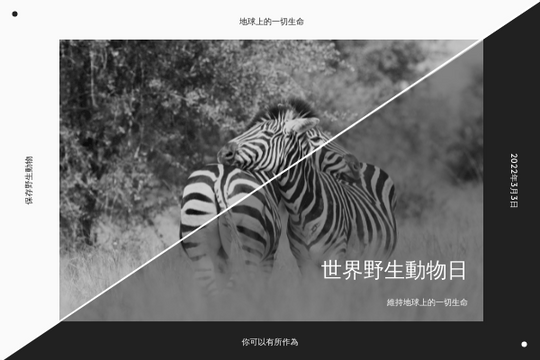 賀卡 模板。 黑白斑馬世界野生動物日賀卡 (由 Visual Paradigm Online 的賀卡軟件製作)