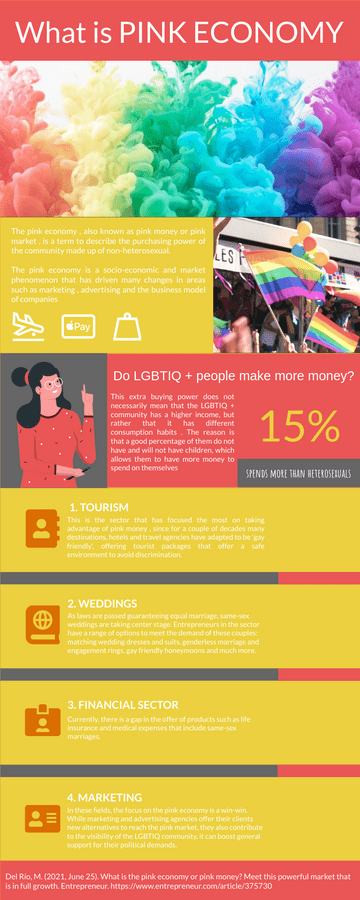 Introduction To Pink Economy Infographic