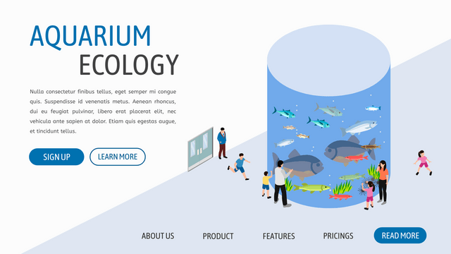Isometric Diagram template: Aquarium (Created by Visual Paradigm Online's Isometric Diagram maker)