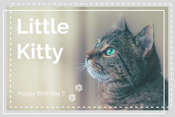 Greeting Card template: Happy Birthday Cat Greeting Card (Created by InfoART's Greeting Card maker)