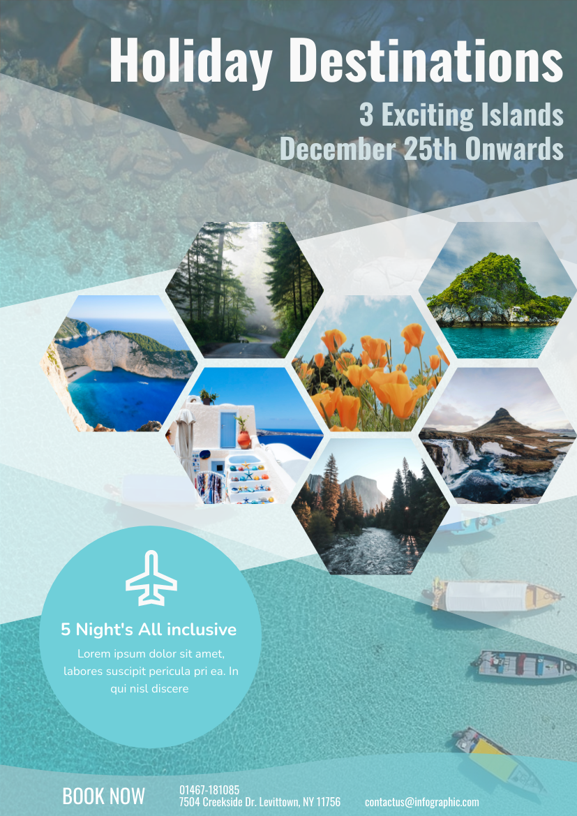 Flyer template: Holiday Destinations Flyer (Created by Visual Paradigm Online's Flyer maker)