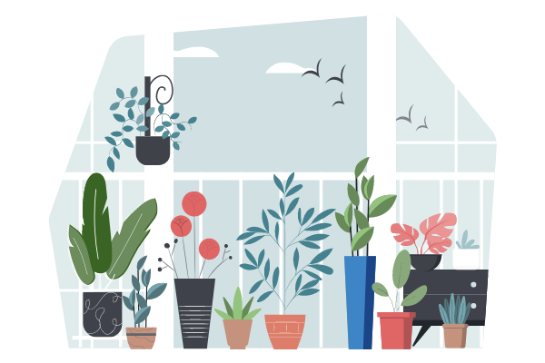 Plants Illustration