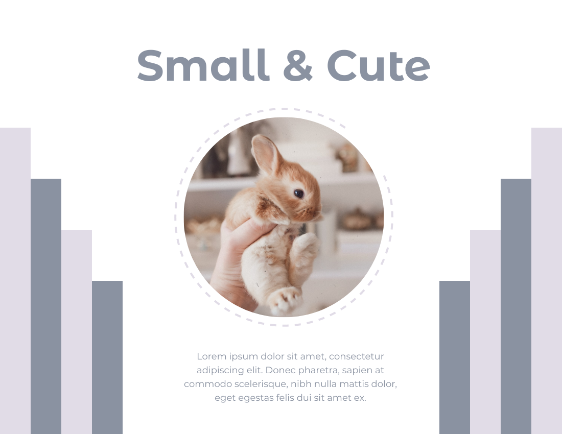 Pet Photo book template: Lovely Rabbit Pet Photo Book (Created by PhotoBook's Pet Photo book maker)