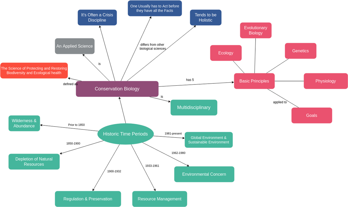 Free Concept Map Diagram Tool: Create Concept Maps Online
