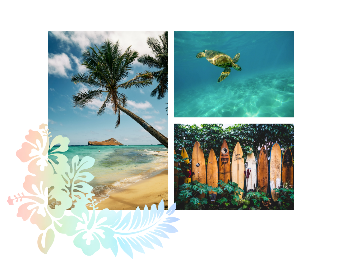 旅行照相簿 模板。 Hawaii Travel Photo Book (由 Visual Paradigm Online 的旅行照相簿軟件製作)