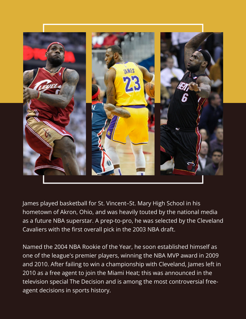 Biography template: LeBron James Biography (Created by Visual Paradigm Online's Biography maker)