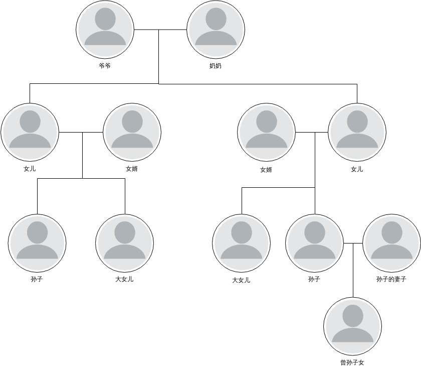 共同的家谱 (家庭树 Example)