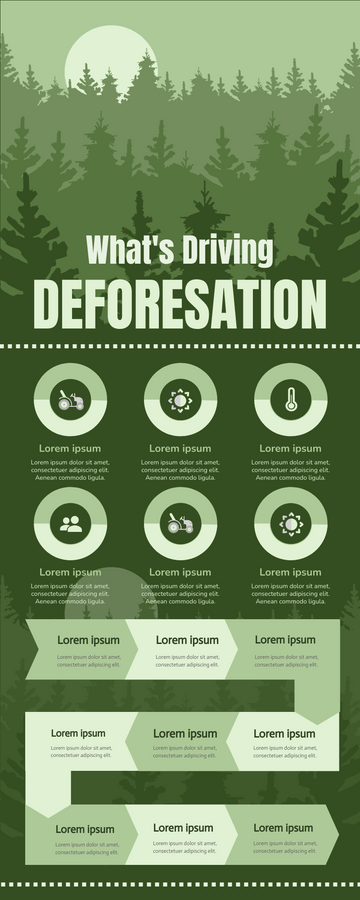 Editable infographics template:Deforestation Infographic