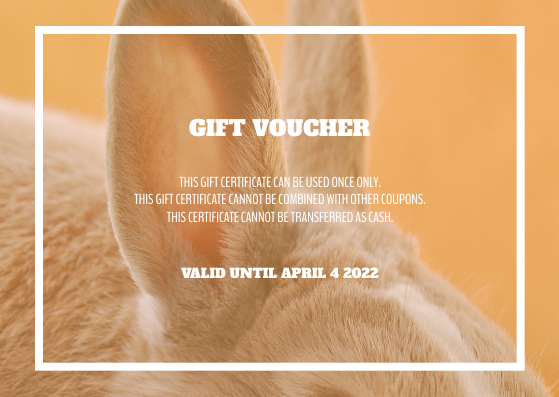 Gift Card template: Orange Easter Rabbit Photo Sale Gift Card (Created by Visual Paradigm Online's Gift Card maker)