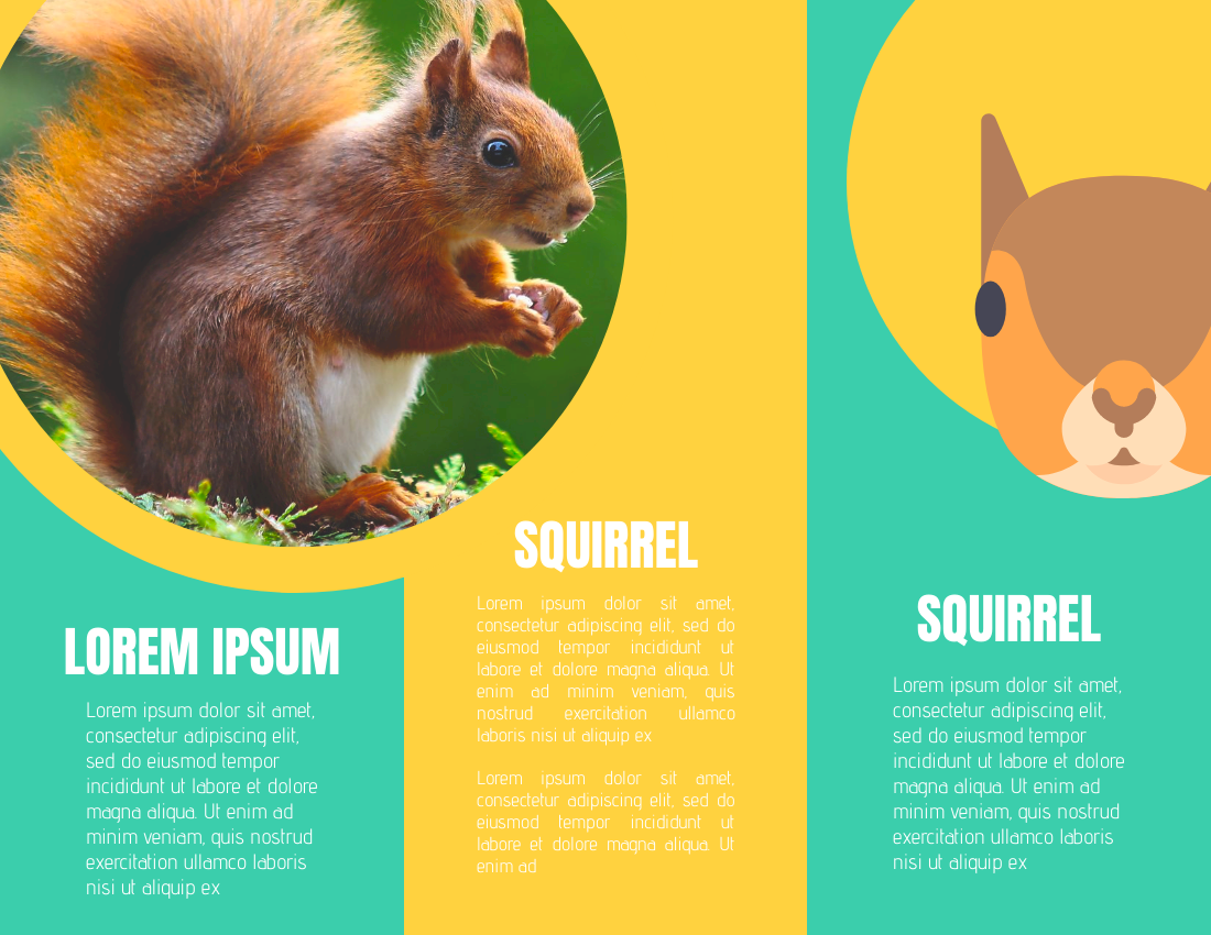 Brochure template: Squirrel Brochure (Created by Visual Paradigm Online's Brochure maker)