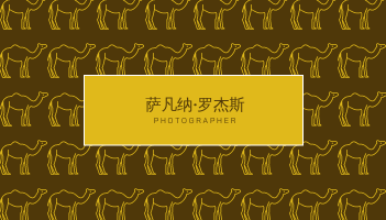名片 模板。黄金埃及骆驼图案插图名片 (由 Visual Paradigm Online 的名片软件制作)