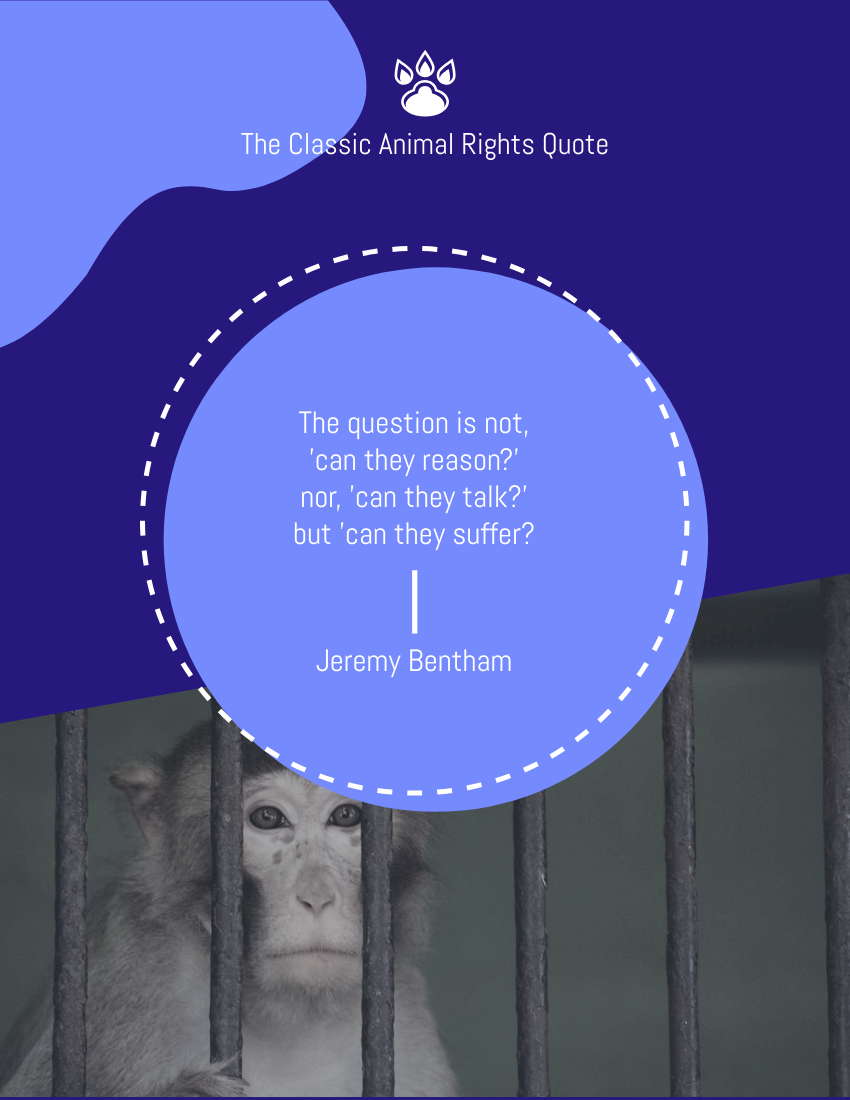 Quote 模板。 The question is not, 'can they reason?' nor, 'can they talk?' but 'can they suffer? ― Jeremy Bentham. (由 Visual Paradigm Online 的Quote軟件製作)