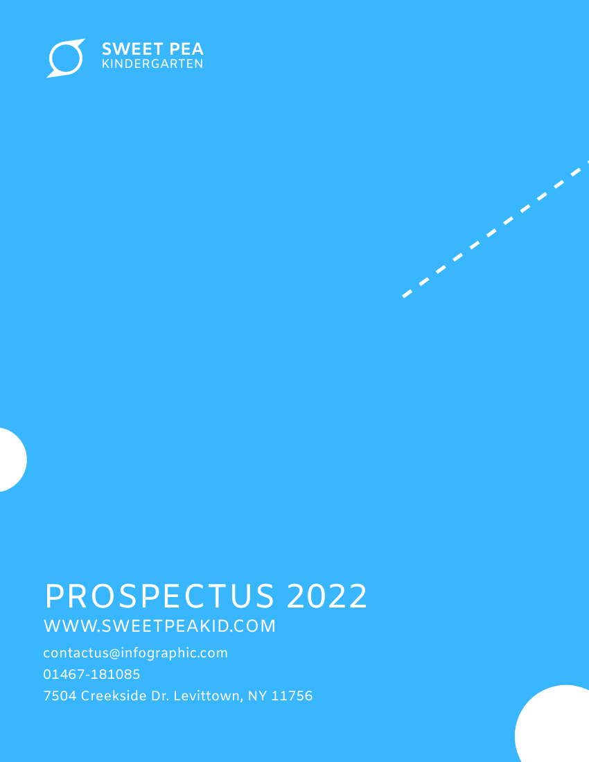 Prospectuses template: Professional Kindergarten Prospectus (Created by Visual Paradigm Online's Prospectuses maker)