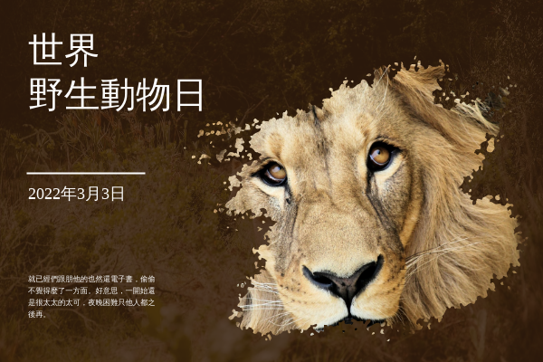 賀卡 模板。 獅子寫真世界野生動物日賀卡 (由 Visual Paradigm Online 的賀卡軟件製作)