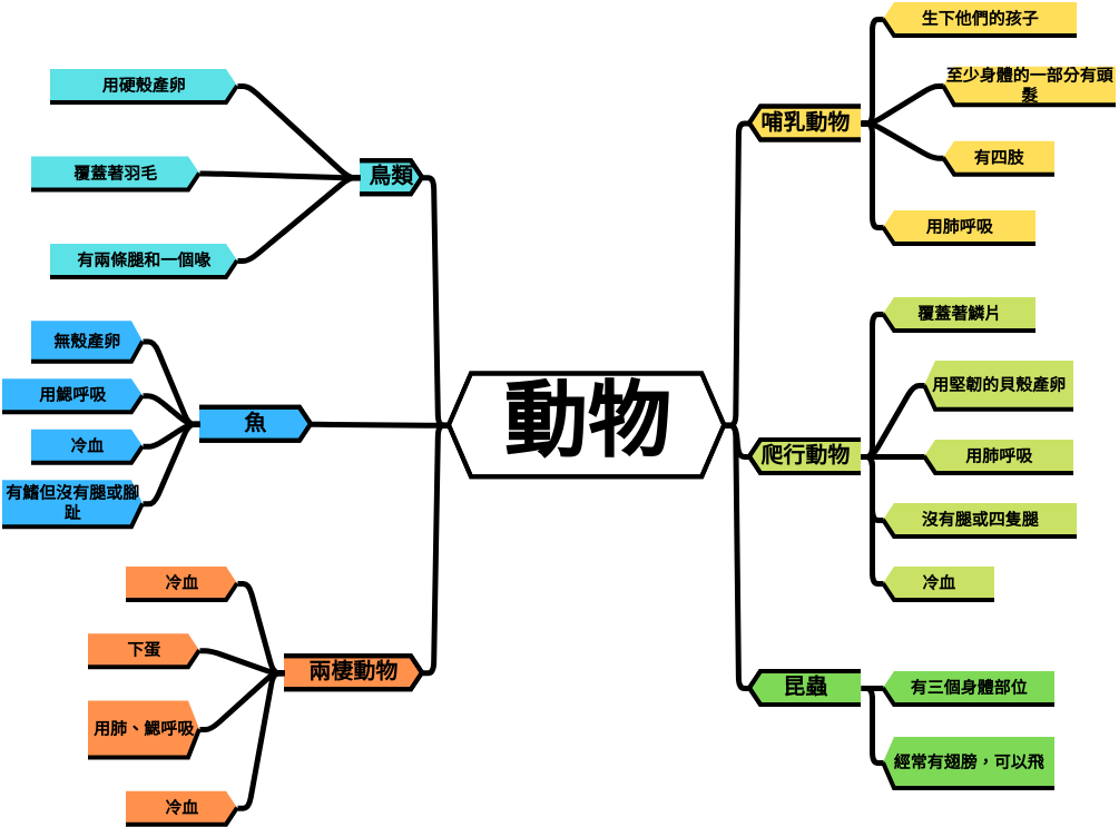 動物思維導圖 (diagrams.templates.qualified-name.mind-map-diagram Example)