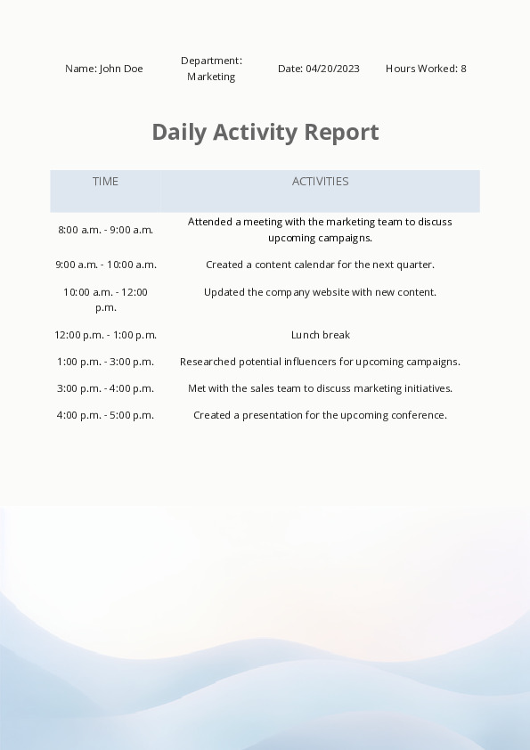Daily Activity Report 2