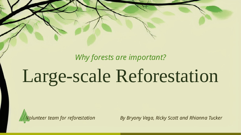 Large-scale Reforestation