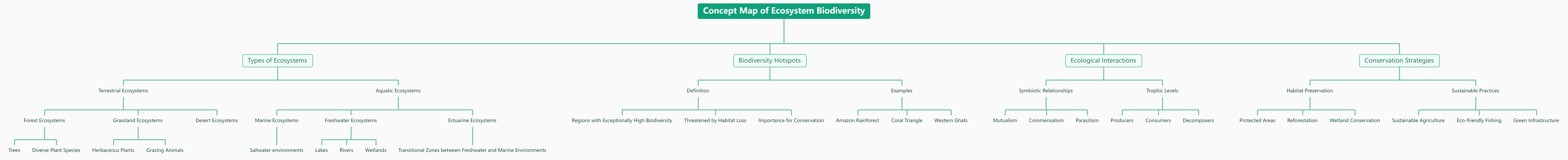 Free Mind Map Template: Concept Map of Ecosystem Biodiversity